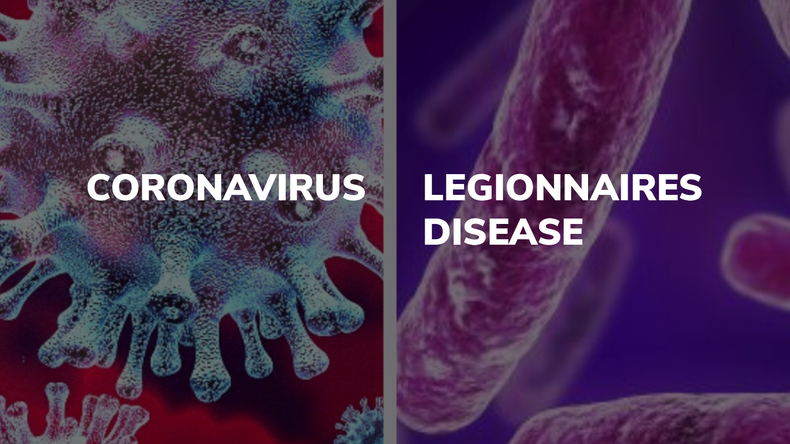 Coronavirus and Legionnares' Disease
