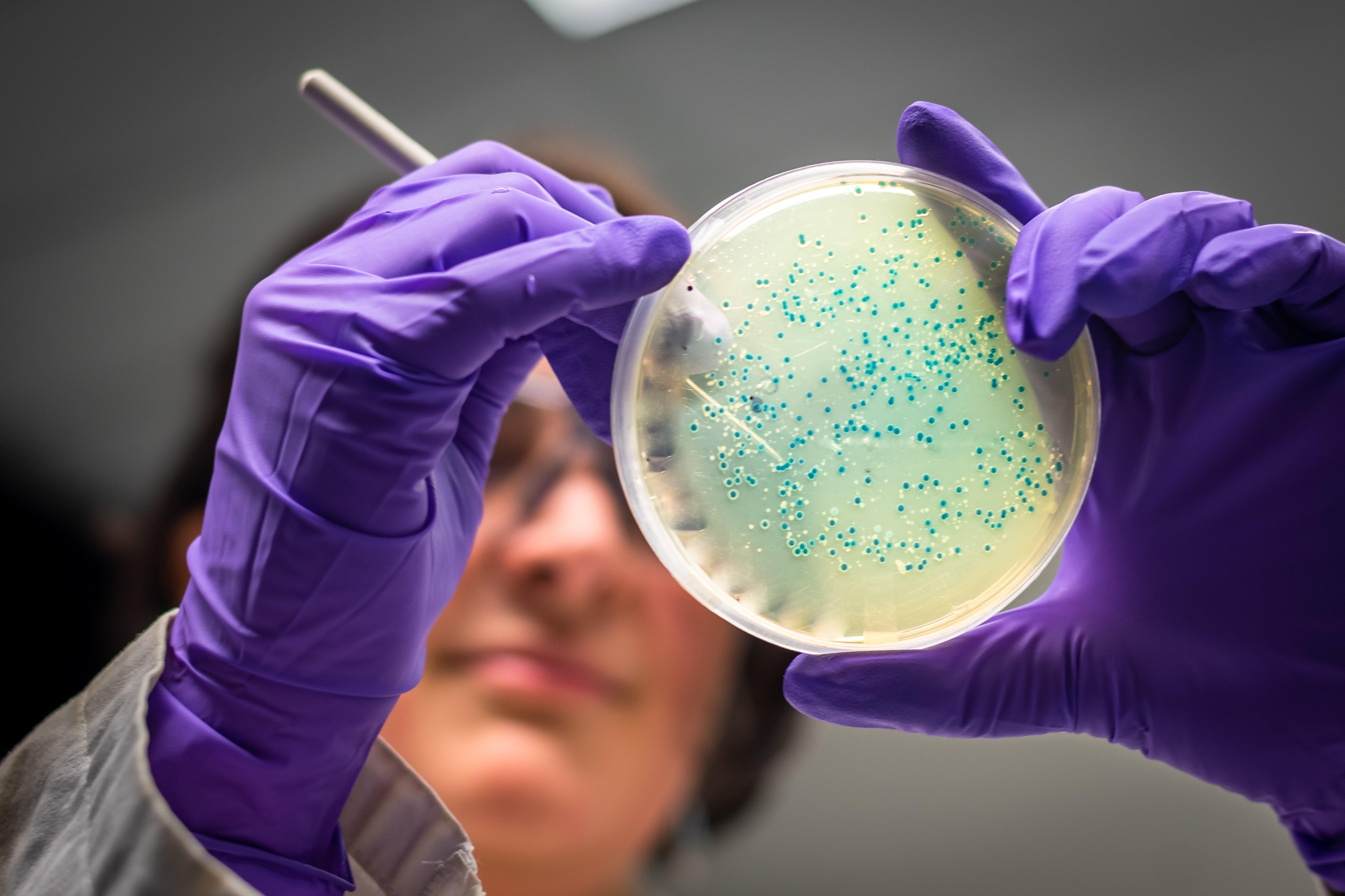 Is Legionella Testing a Legal Requirement?