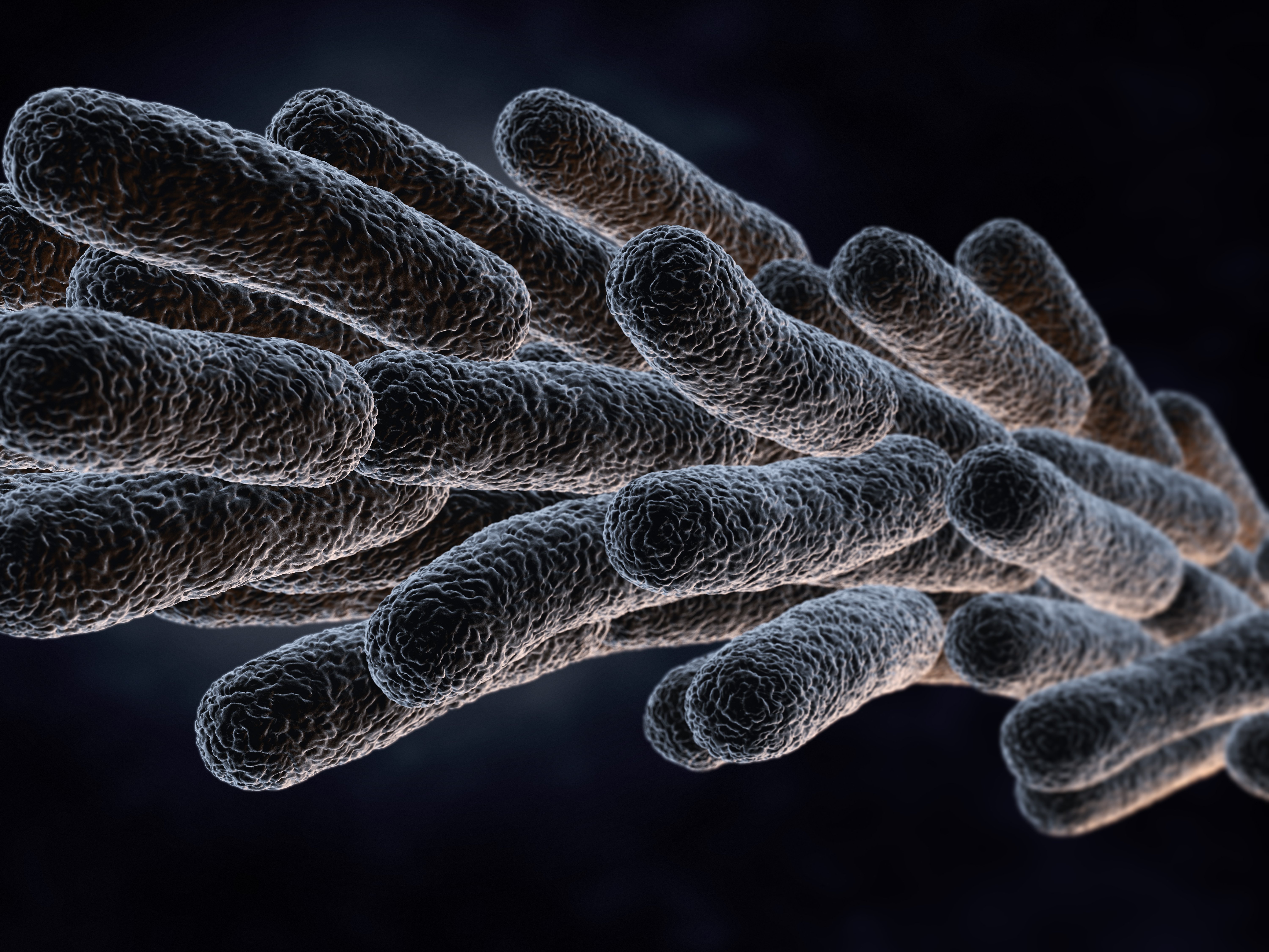 What is the OSHA Standard for Legionella?