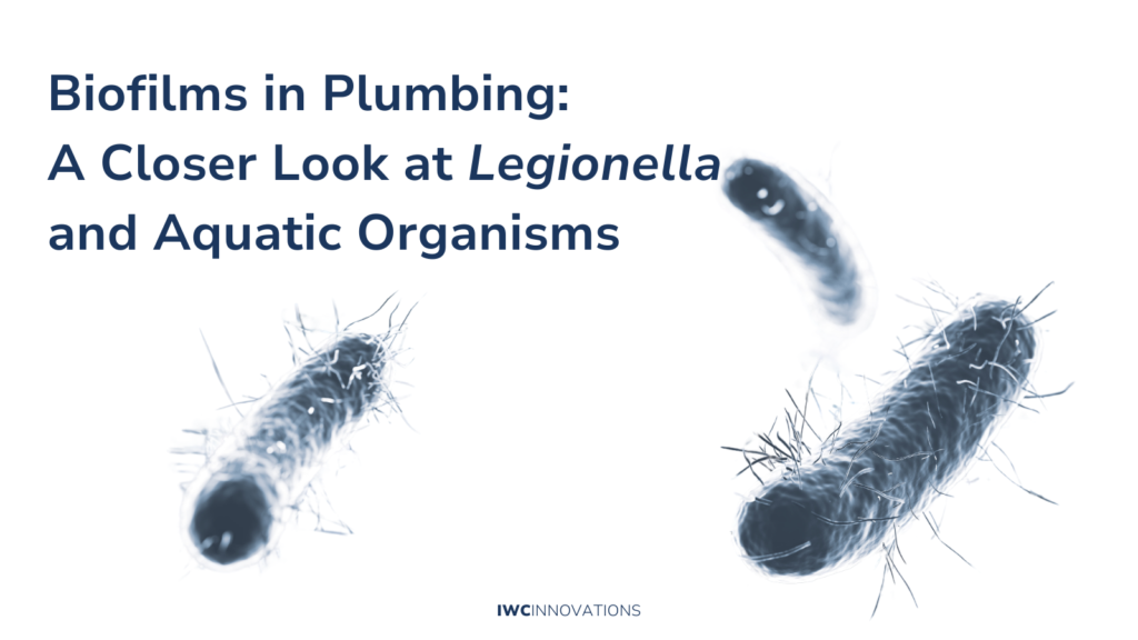 Biofilms in plumbing.