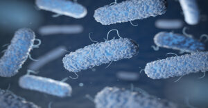 Legionella Bacteria