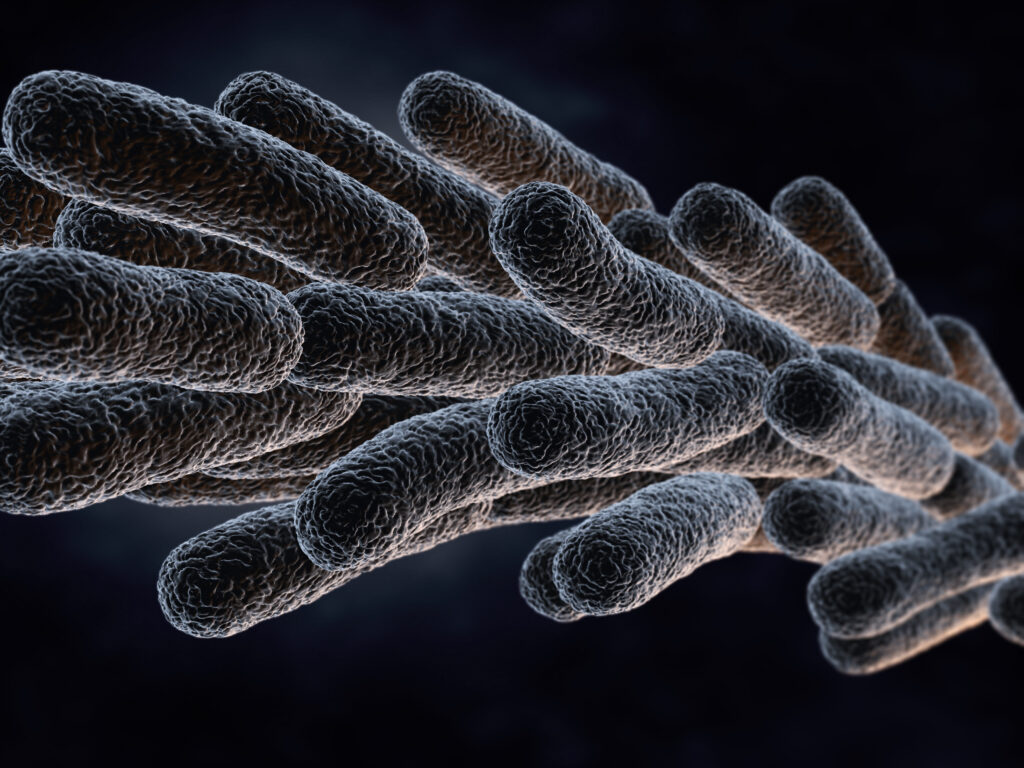 OSHA Standards for Legionella Bacteria