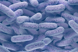 Legionella Bacteria in Water