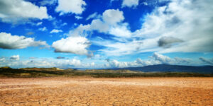 A desert setting with mountains behind.